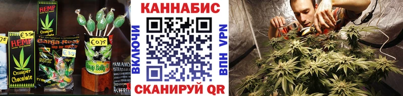 где можно купить   гидра вход  Canna-Cookies конопля  Снежногорск 
