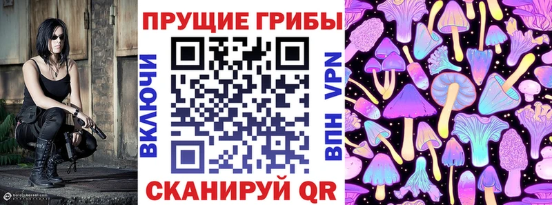 Псилоцибиновые грибы Psilocybe  где продают   мега ONION  Снежногорск 